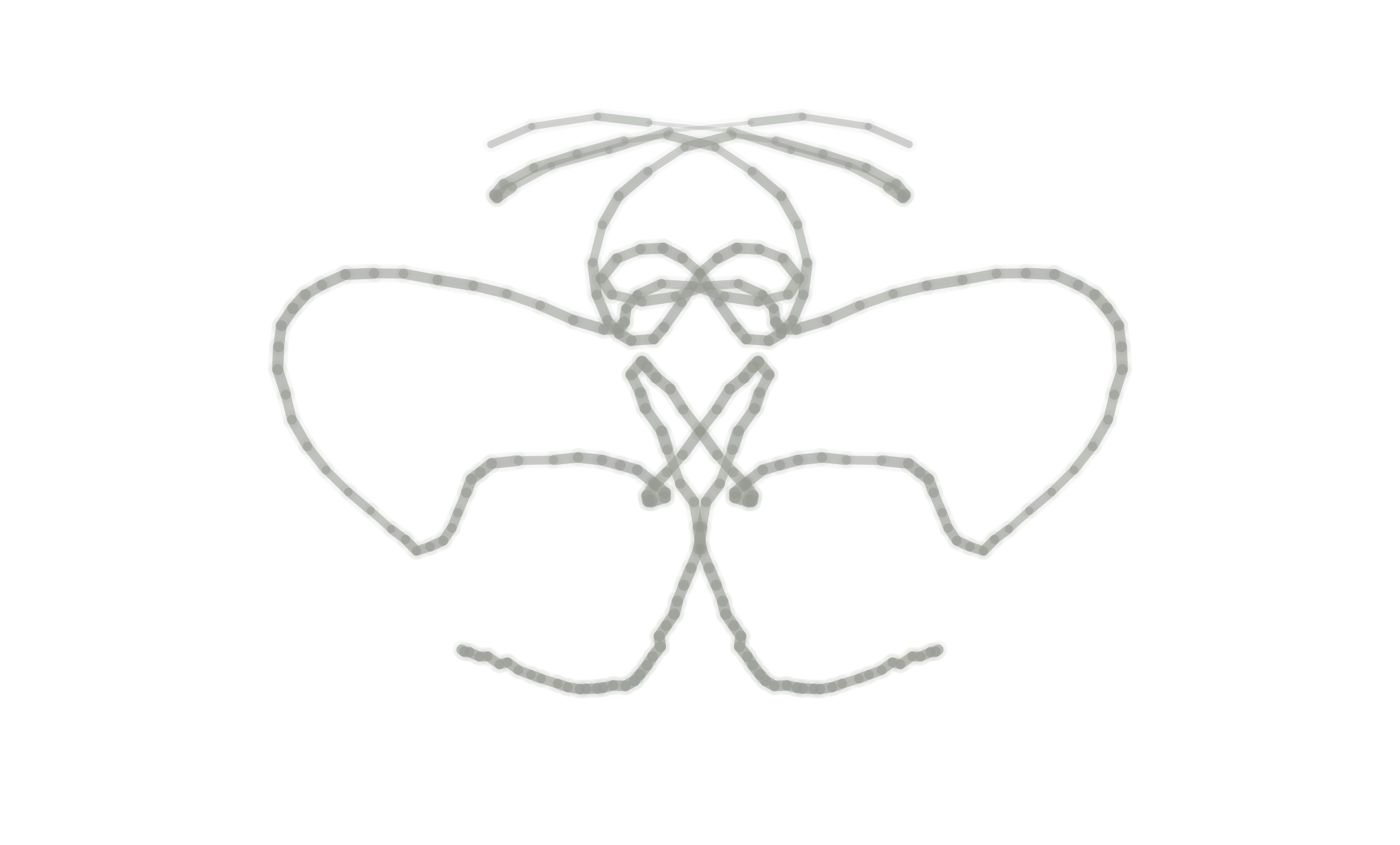 Clarion output, grey symmetrical butterfly form